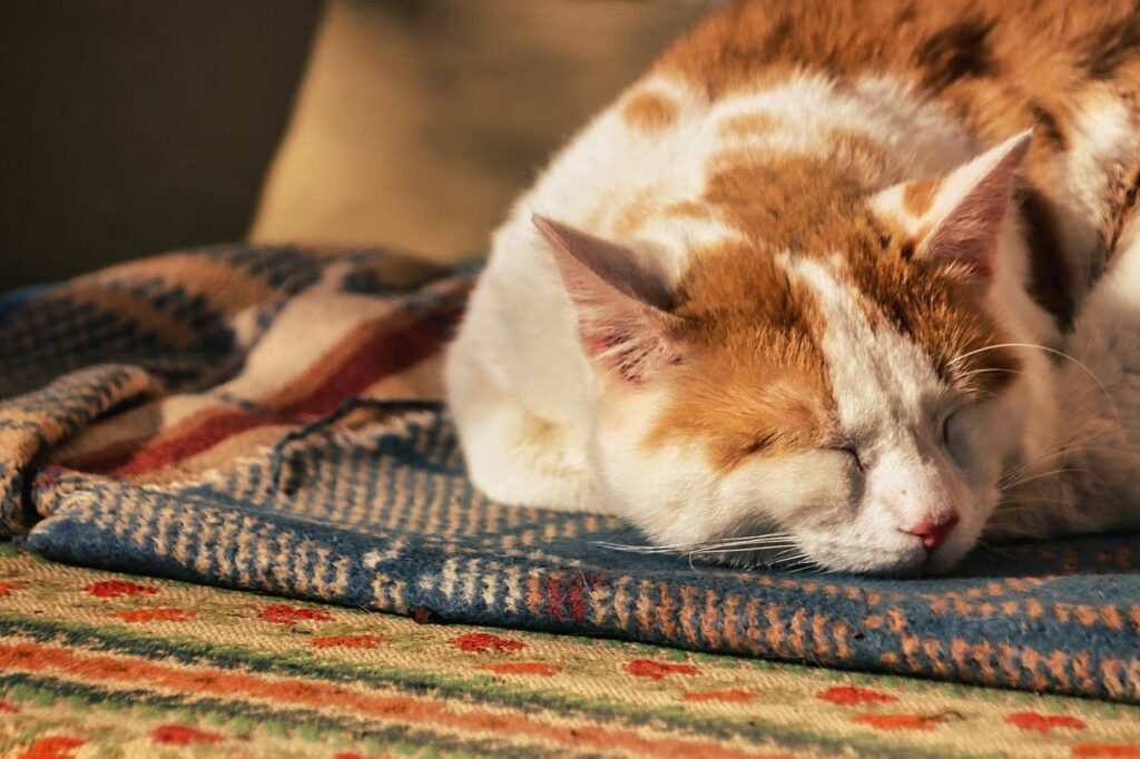 Do Weighted Blankets Improve Sleep? Do Weighted Blankets Improve Sleep?