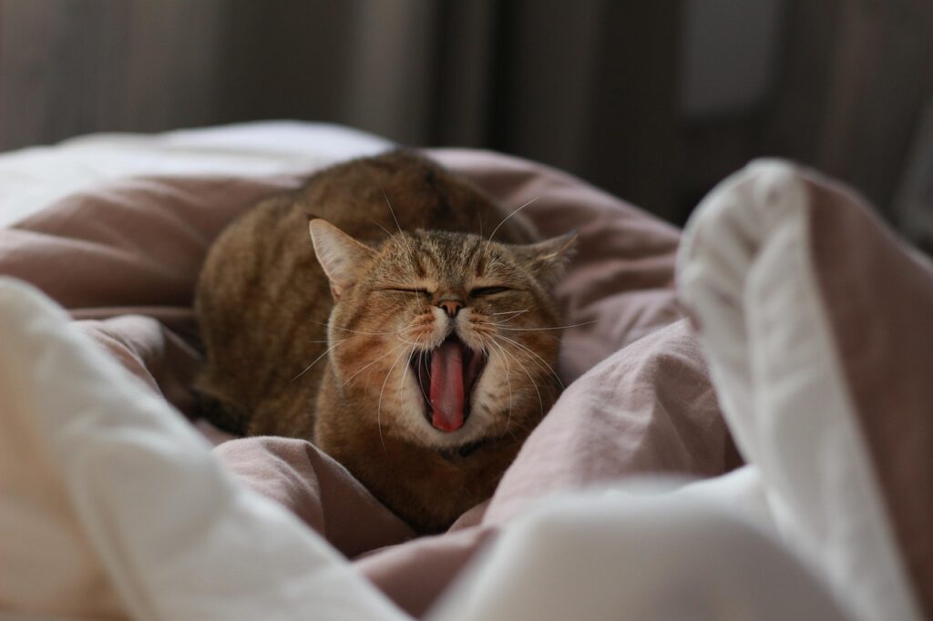 Why Do I Sweat While Sleeping?